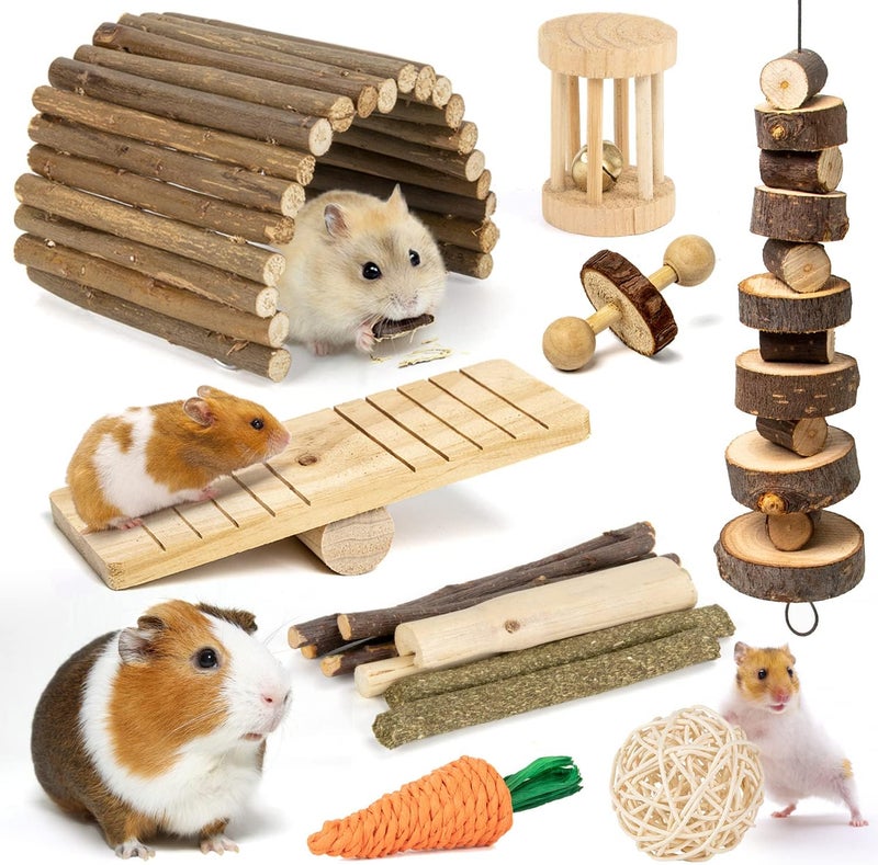 Sofier Hamster, Guinea Pig Toys Accessories Natural Chews for Teeth Rabbit Bunny Rat Chinchilla Hideout Ball Apple Wood Timothy Hay Sticks - Image 1